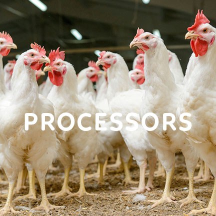processing